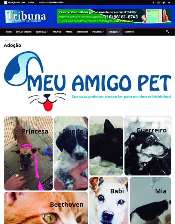 Seção Meu Amigo Pet, novidade no Portal Tribuna Ribeirão