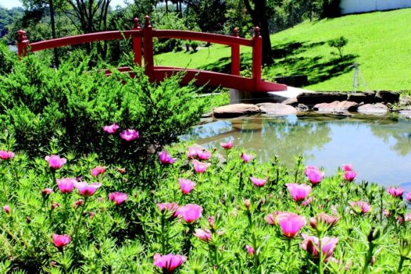 O lugar abriga um jardim zen, minicachoeira, lago com carpas e diversos jardins para ajudar o visitante a acalmar a mente e equilibrar suas emoções