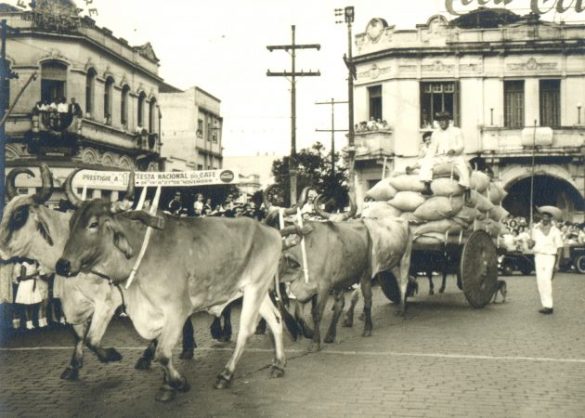 Carro de Boi - 1956
O leitor Benedito Luiz Andrade de Oliveira, encaminhou uma foto do seu avô materno, João Manoel de Andrade, conduzindo um carro de boi na Festa Nacional do Café.