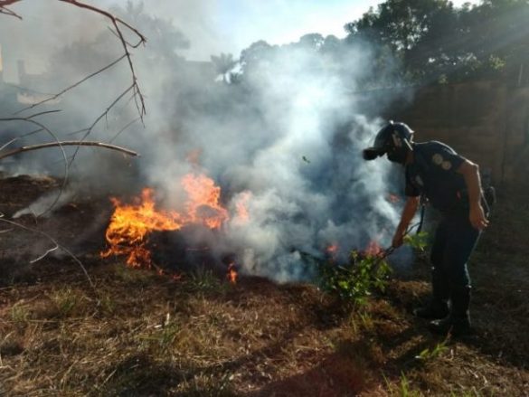 Foto: Divulgação / Guarda Civil Metropolitana