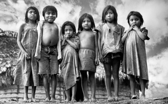 Verificado índios Ingaricós. Rio Cotingo. Roraima