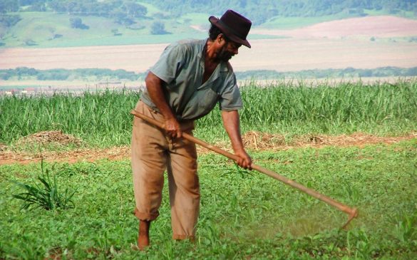  Agricultor do Movimento Sem Terra na Fazenda da Barra. “Essa foto me lembra as obras de Cândido Portinari, nas suas devidas proporções” 