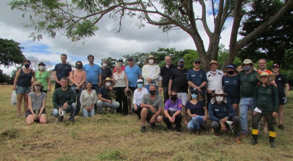 Parabéns equipe